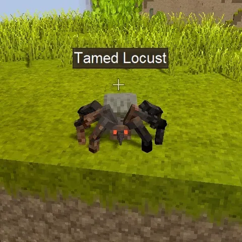 Locust Taming
