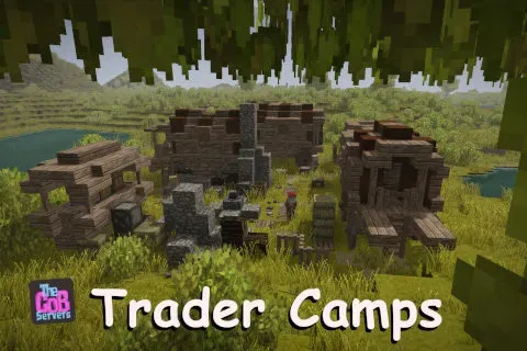 Trader Camps