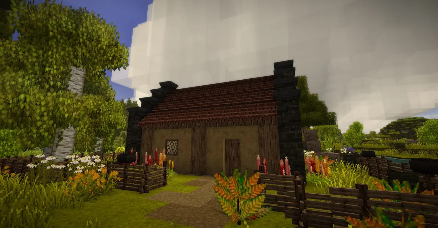 Traders Expansion