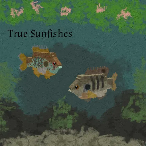True Sunfishes