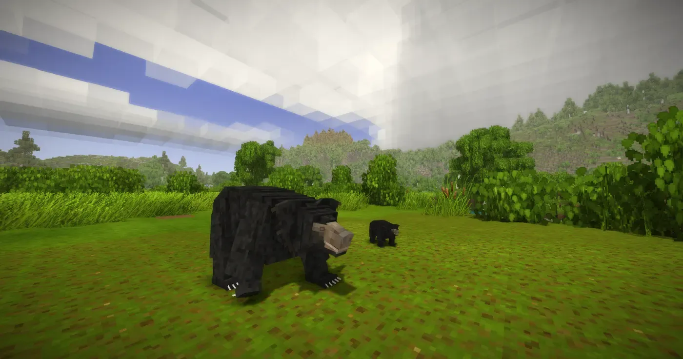 Untamed Wilds: Ursidae