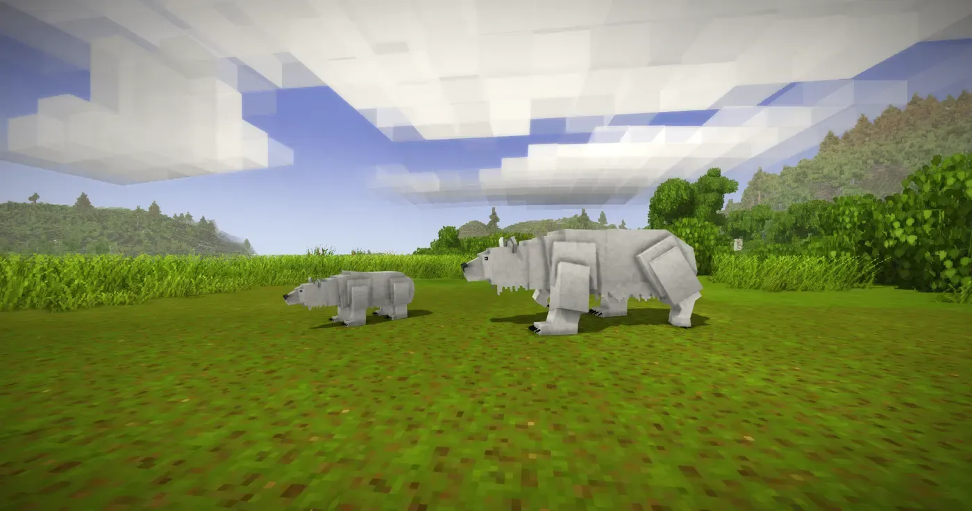 Untamed Wilds: Ursidae