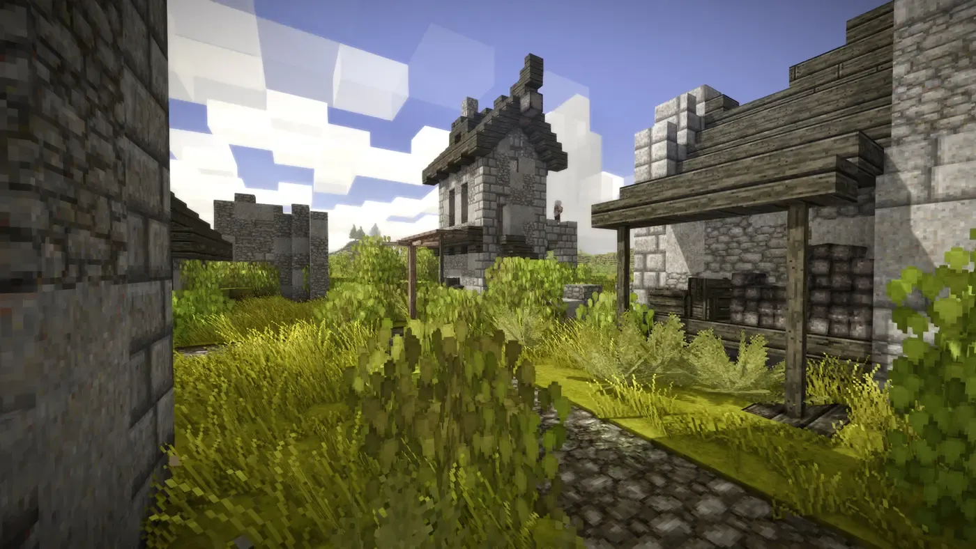 VS Village Aged Village Addon
