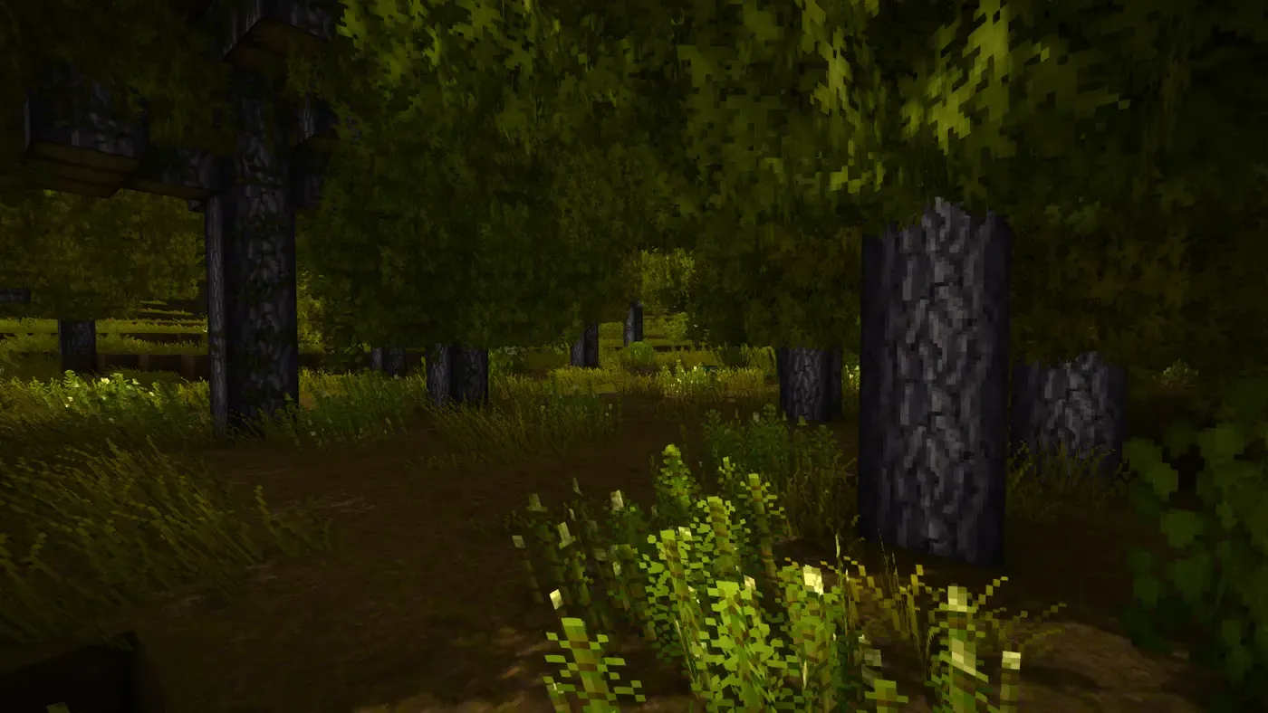 Wilderlands Forests