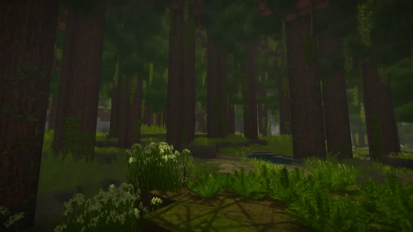 Wilderlands Forests