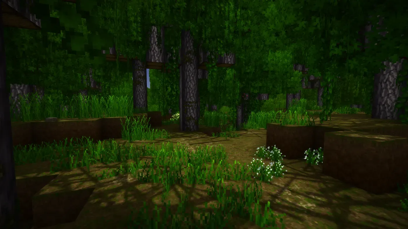 Wilderlands Forests