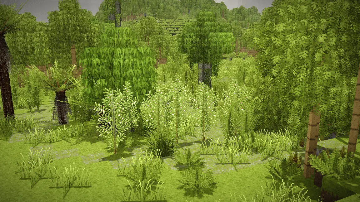 Wildcraft: Herbs and Spices