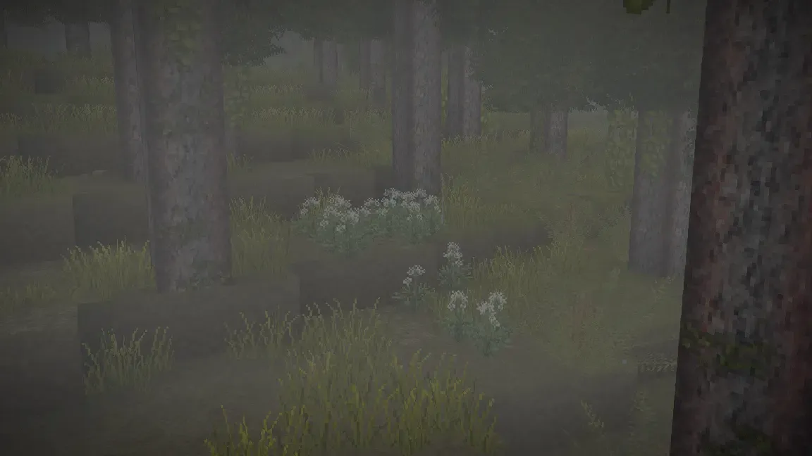 Wildcraft: Herbs and Spices