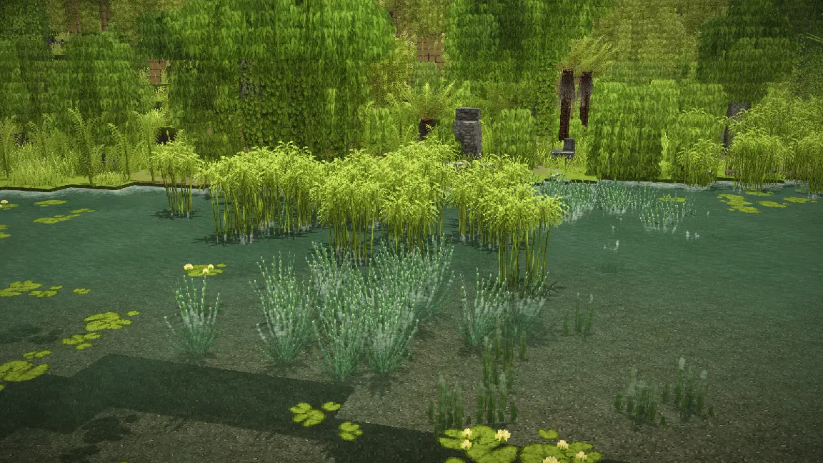 Wildcraft: Herbs and Spices