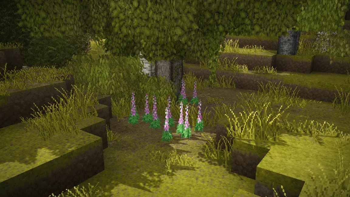 Wildcraft: Herbs and Spices