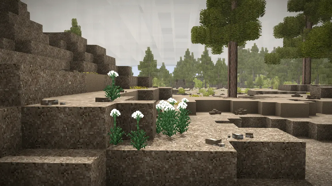 Wildcraft: Herbs and Spices