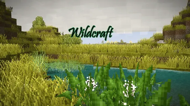 Wildcraft: Herbs and Spices
