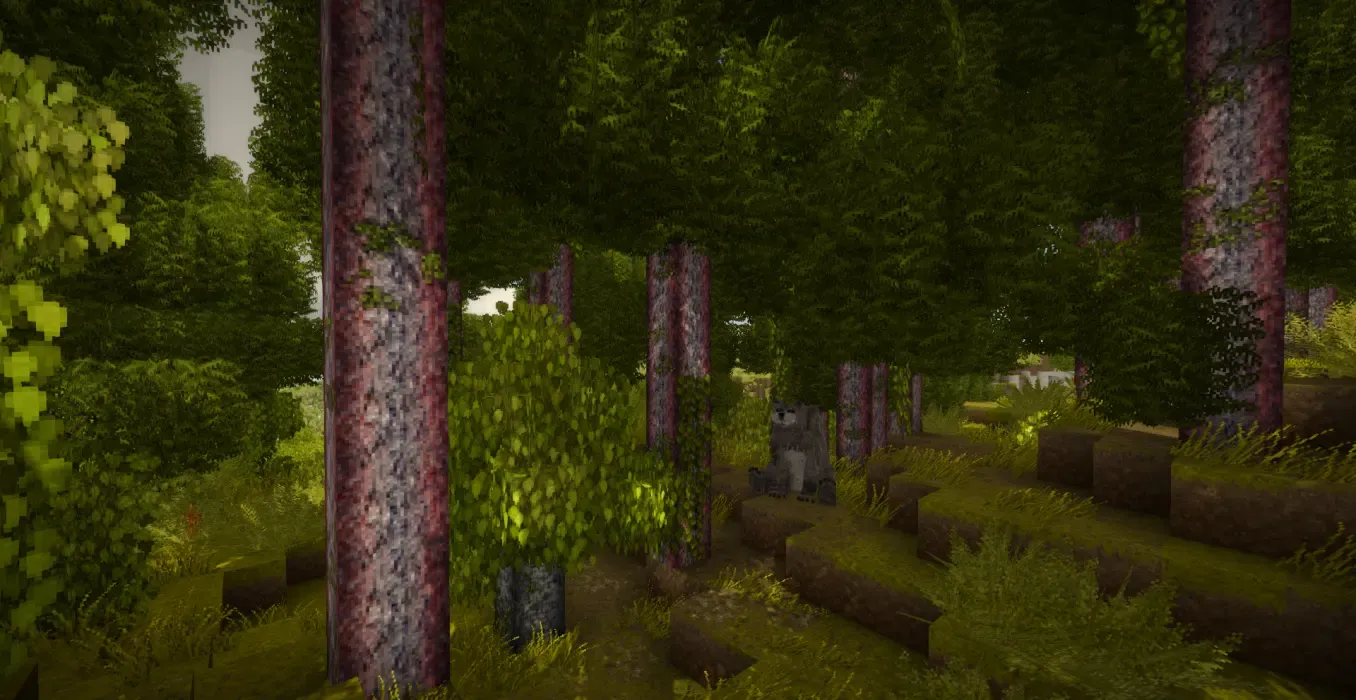 Wildcraft: Trees and Shrubs