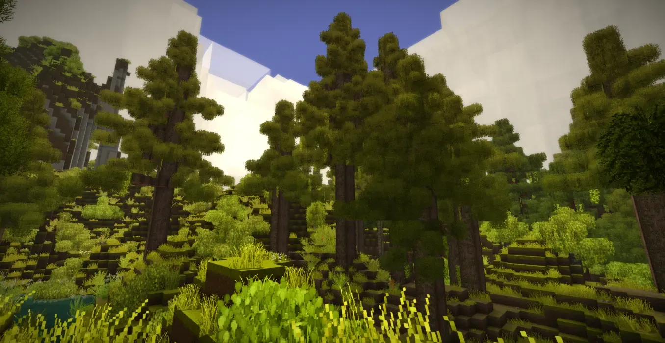 Wildcraft: Trees and Shrubs