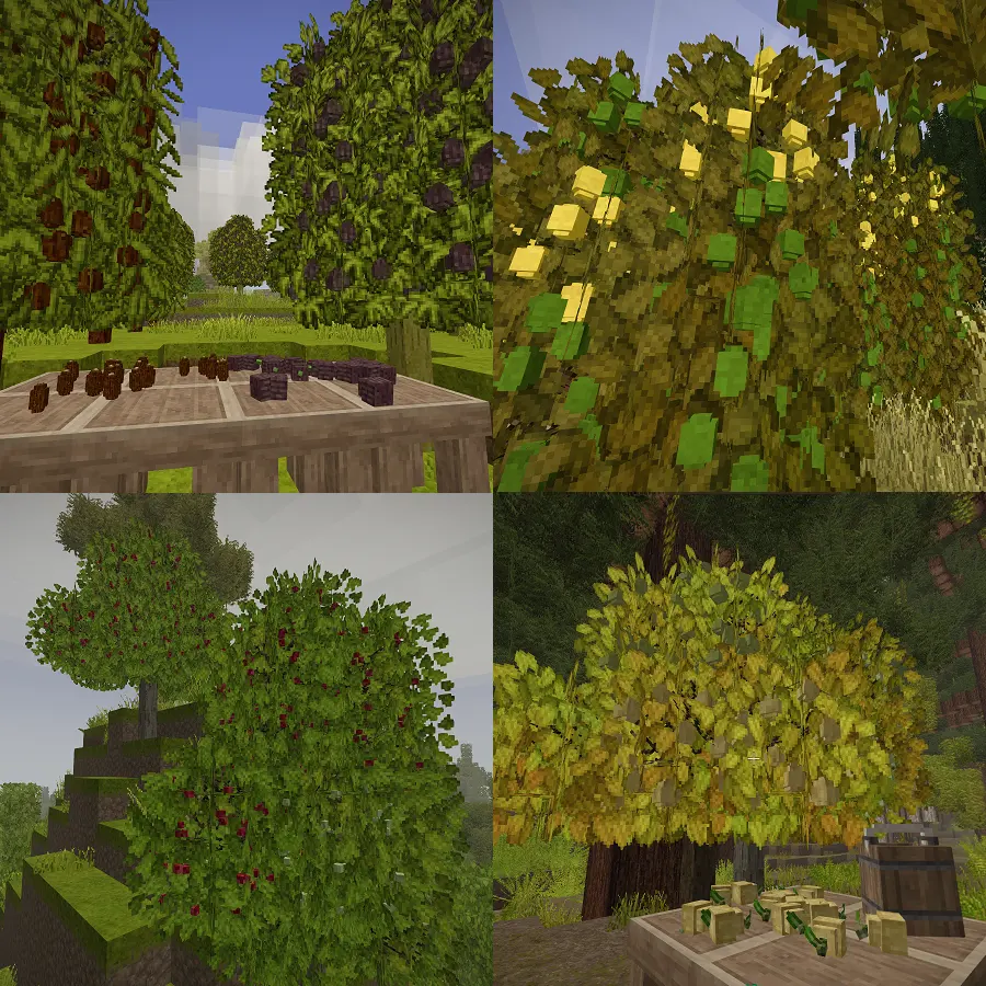 Wildcraft Trees