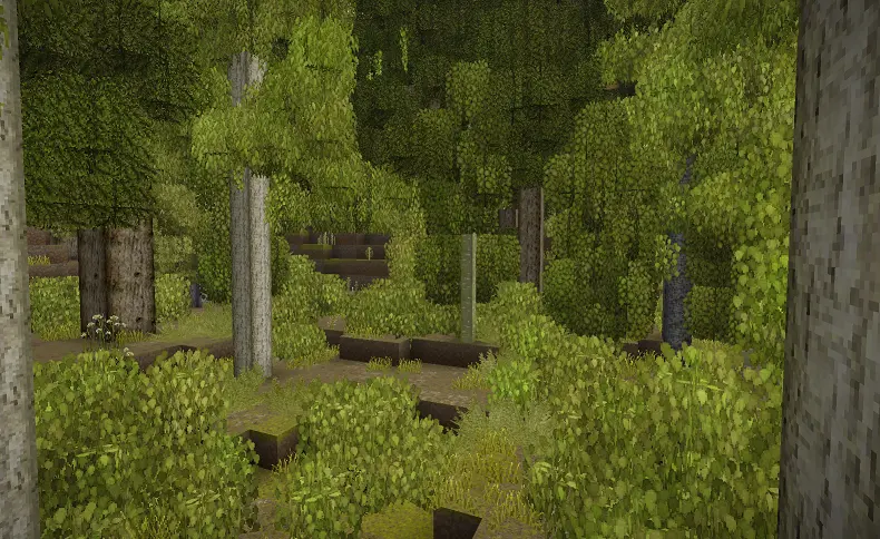 Wildcraft Trees
