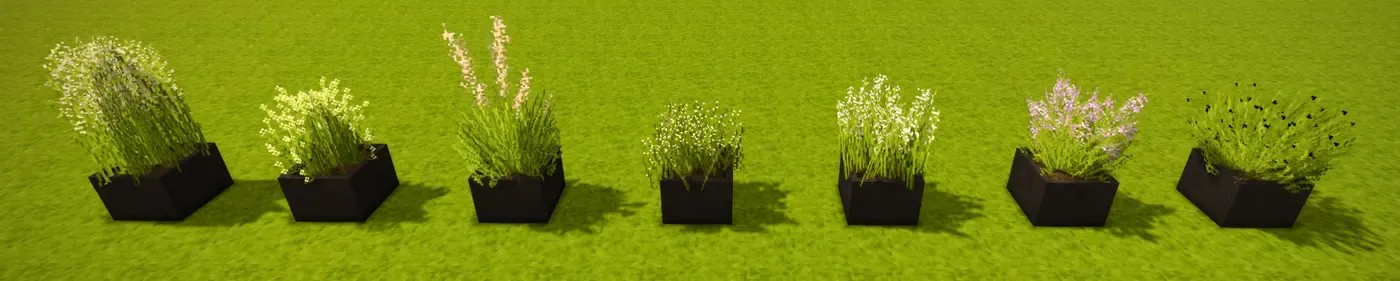 Wildgrass