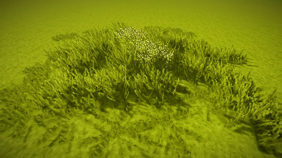Wildgrass