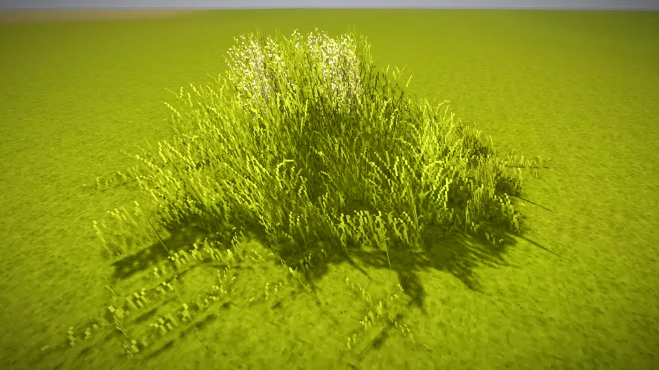 Wildgrass