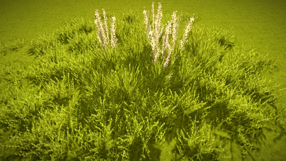 Wildgrass
