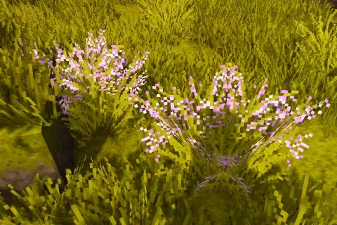 Wildgrass