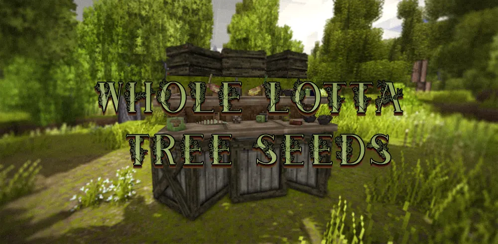 Whole Lotta Tree Seeds