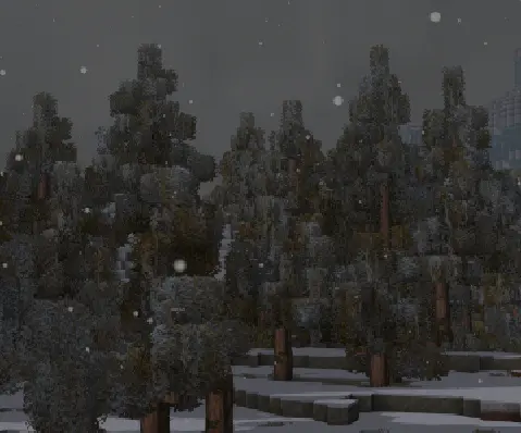 XV Shaders